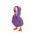 Purple NO Duck