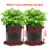 PE 3Gallon 2PCS