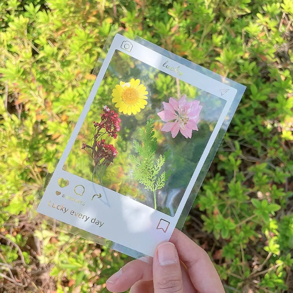 Perfect DIY Materials DIY Dried Flower Bookmarks Handmade PET Dried Flower Stickers Herbarium Transparent Flower Page Bookmark