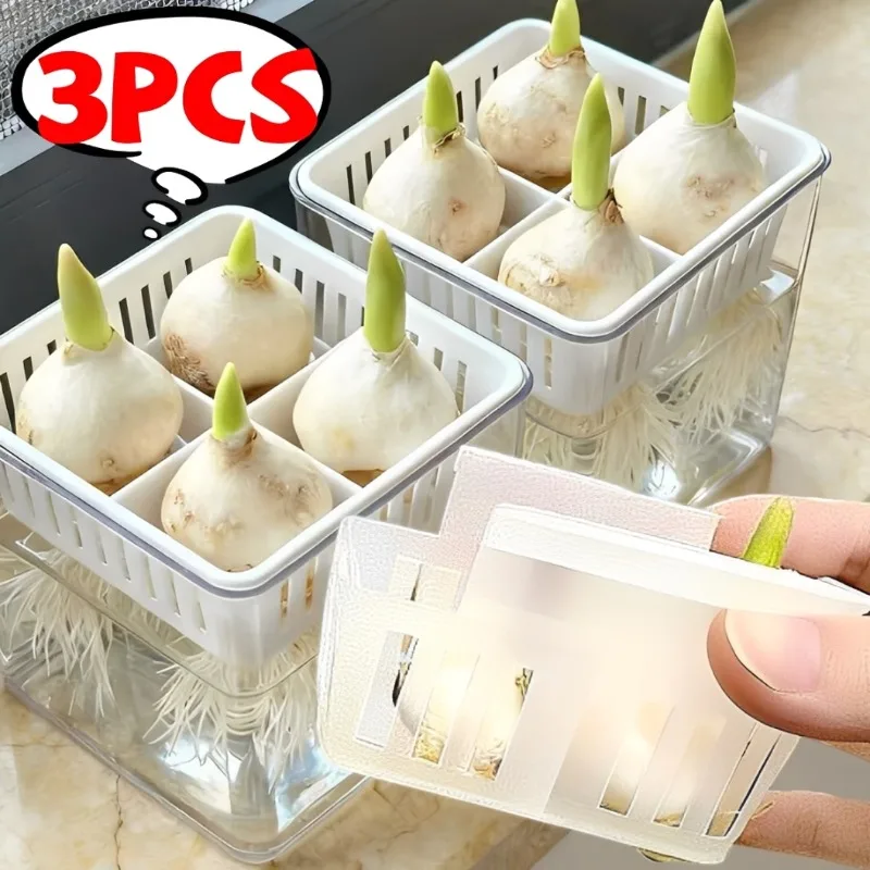 1/3x Four Grid Flower Pot for Hydroponic Tulips Acrylic Breathable Hydroponic Containers for Indoor Gardening Planting Container