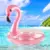 Pink Flamingo