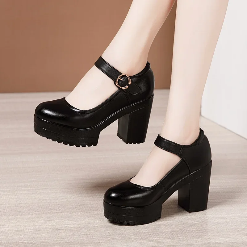 6 8 10cm Small Size 32-43 Shallow Thick Bottom Genuine Leather Shoes Platform Pumps 2026 Block High Heels Shoes Office Model