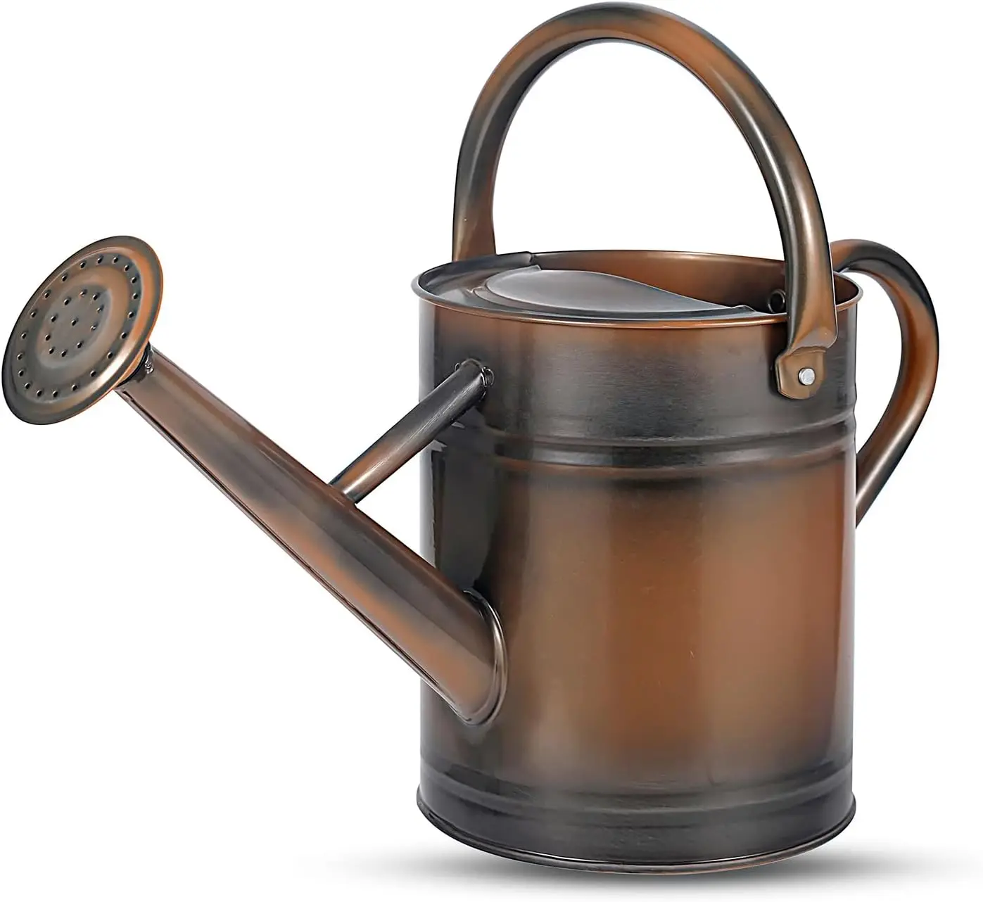 Can for Plants, Watering Cans for Indoor&Outdoor Gardening, Galvanized Steel Watering Pot with Removable Spout