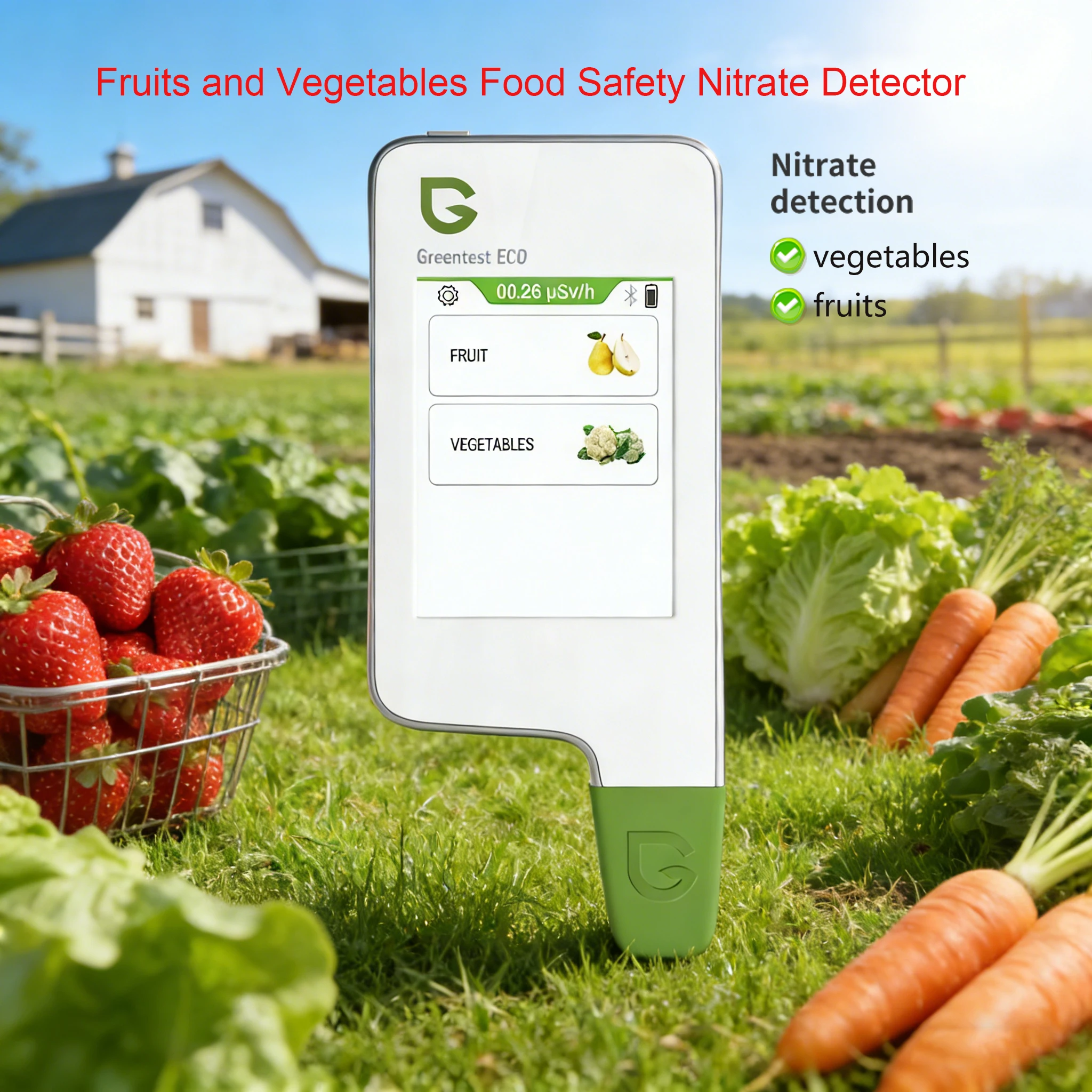 Food Safety Detector Greentest 1 Portable Nitrate Tester Fruits and Vegetables Health Analyzer Fast Detection Health Care