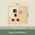 1Gang 13A socket