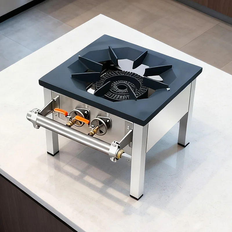 Kitchen Cooktop Stove Energy-Saving Gas Stove Commercial Household Single Gas Stove Dual Ring LPG/Natural Gas Short Footed Stove