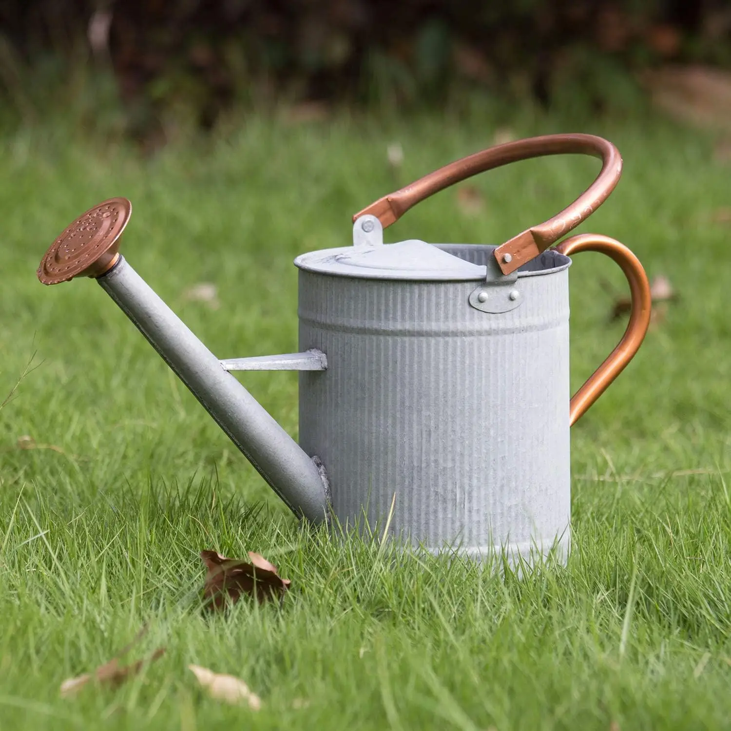 Metal Watering Can with Removable Spout, Farmhouse Water Can, Nice Plant Water Can for Indoor
