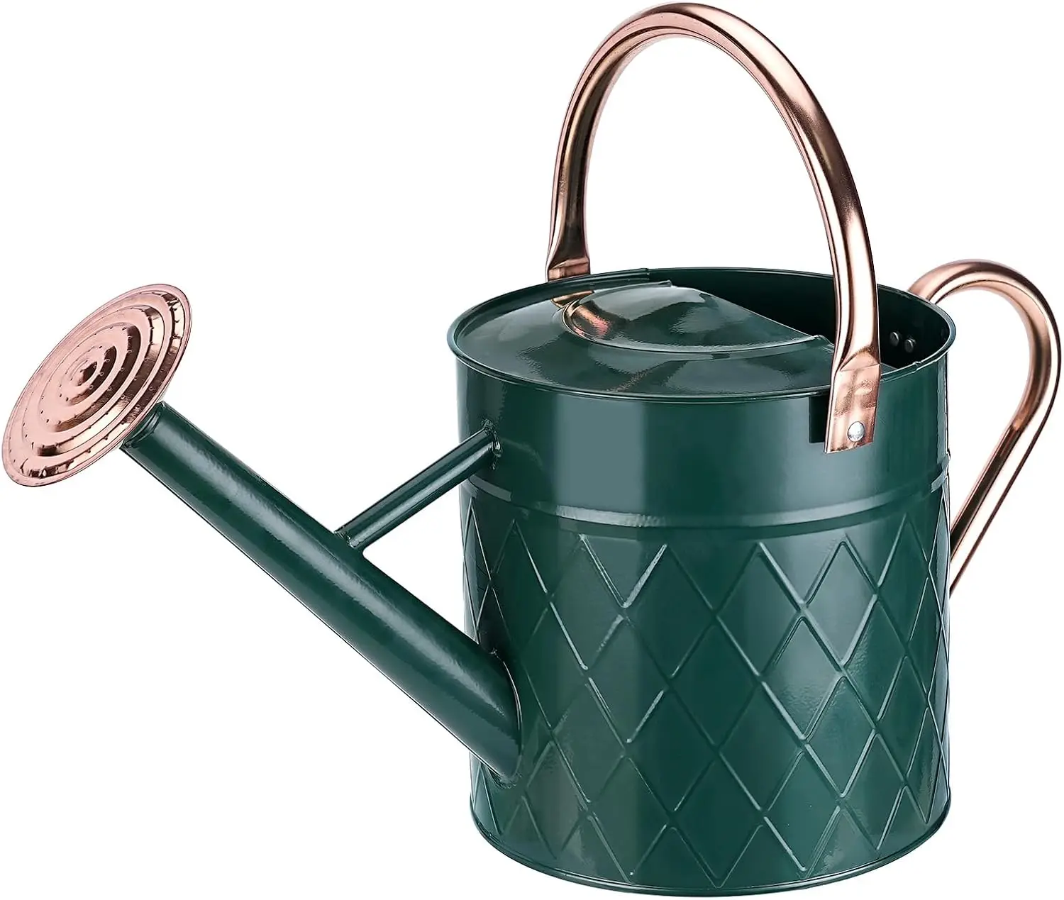 Outdoor Metal Watering Can for Garden Plants, Vintage Zinc Watering Can with Removable Spray Spout, Ideal for
