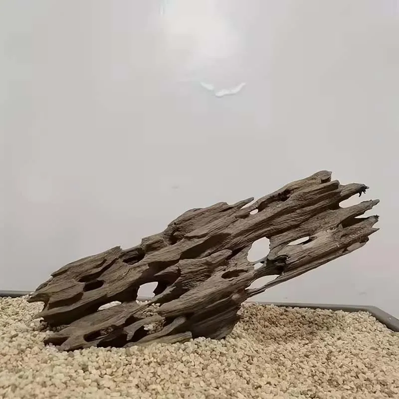 Shrimp Wood Aquarium Decor, Driftwood Water Feature Ornamental Accessories for Fish Tanks with Natural Holes Suitable for Shrimp