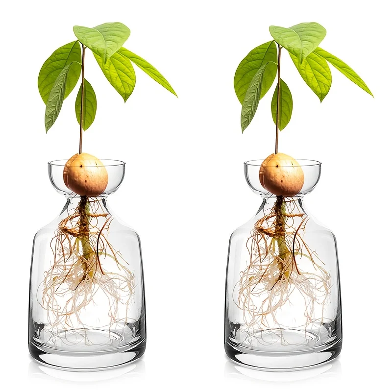 Two-piece Avocado Seed Starter Vase - Grow Your Own Avocado Tree Unique Glass Planting Pot for Gardening Lovers Start Your Green