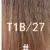 T1B 27