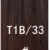 T1B 33