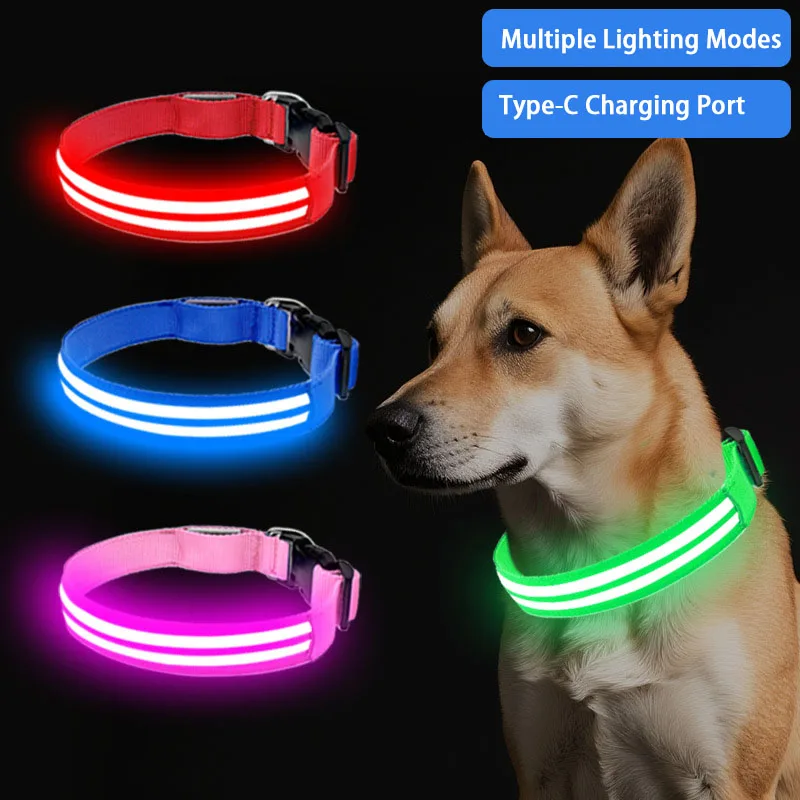 Light Up Dog Collar for Night Walk Color LED Glowing Pet Safety Collar Rechargeable Dog Necklace with Dog Harness Dog Leash Ring
