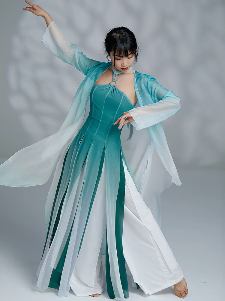 Ele Revamped Dance Costume with Saes for Women Profional Performance And Practice Traditional Chinese Sle