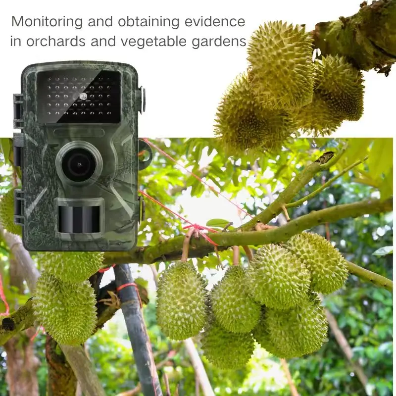 kf-S5dd7bd6a1e8b4354a60d7600bf079d00f