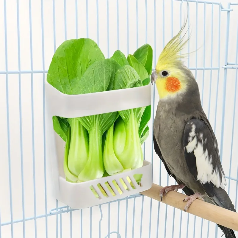 Bird Fruit Vegetable Feeder Bowl, Parrot Feeding Holder Rack, Bird Feeders Pet Supplies