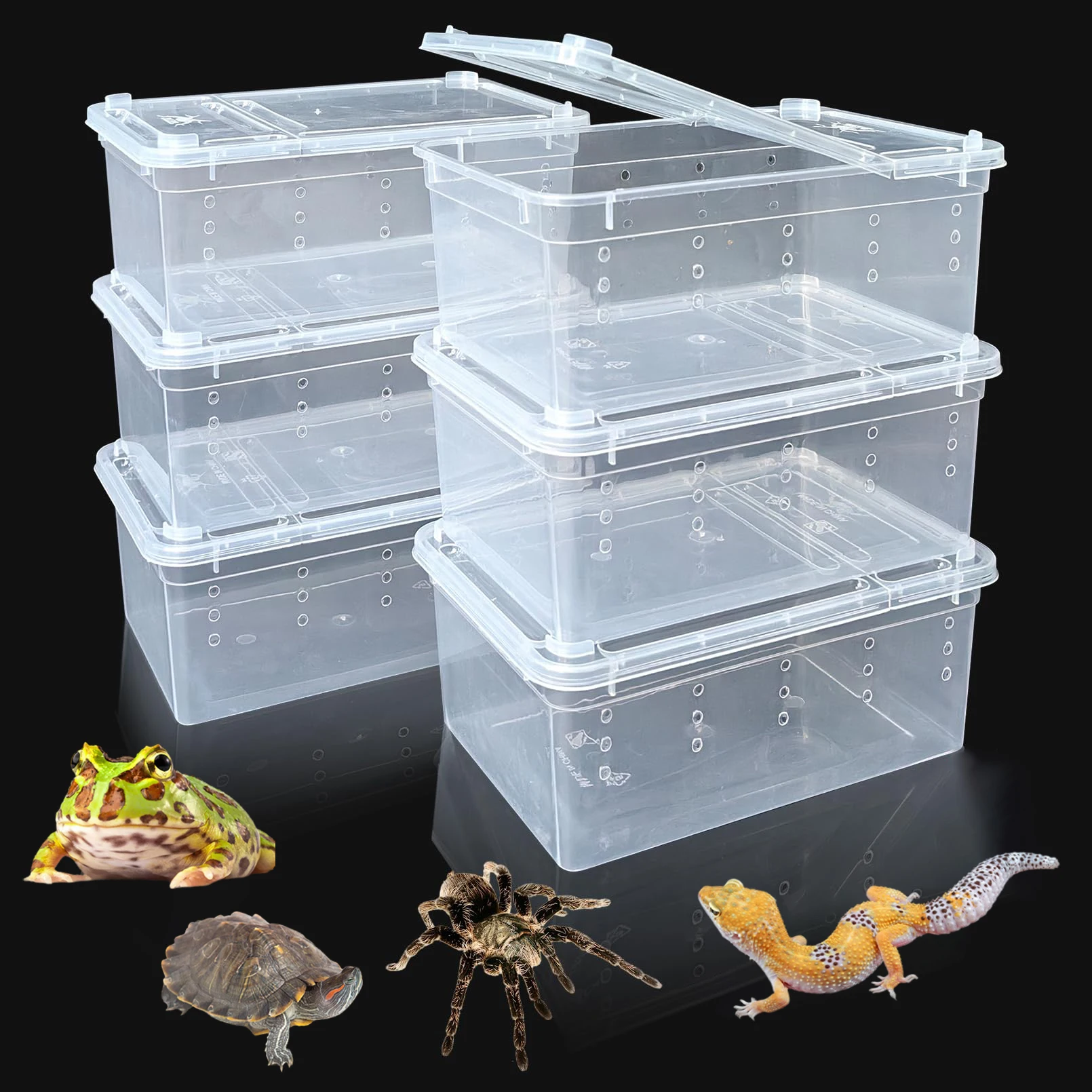 6pcs,Reptile plastic terrarium, transport container for lizards, geckos, snakes, spiders, scorpions, beetles, centipedes