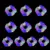 10 pcs blue