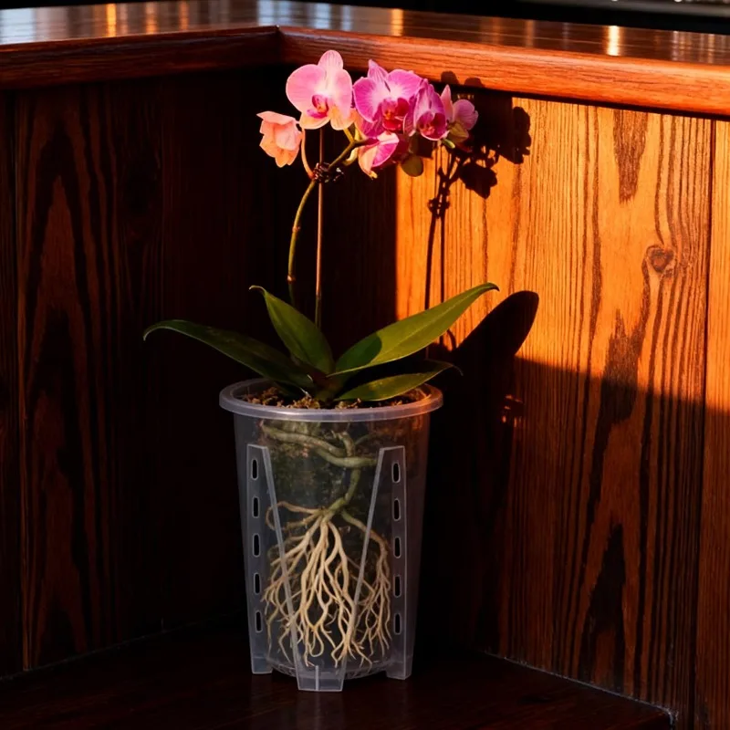 kf-S81b0b73bdb7643cfad4caf6aeeeefc1al