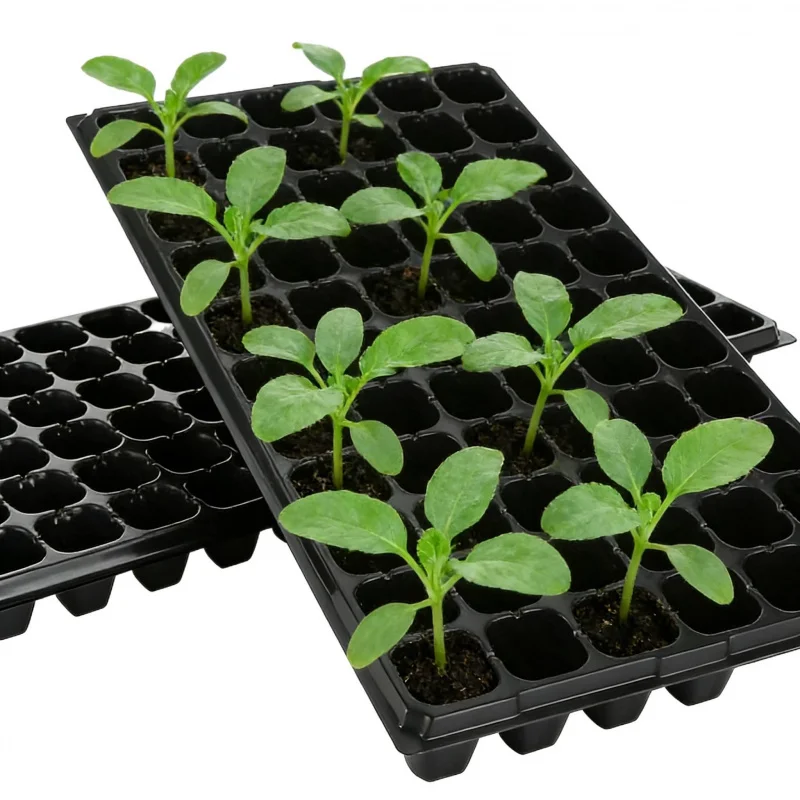 10PCSSeedling Pots Succulent Plant Seedling Box Home Gardening Greenhouse Sowing Germination Pots Courtyard Balcony Planting Too