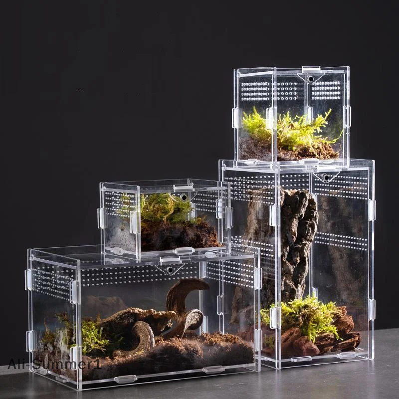 【E】Acrylic Transparent Reptile Breeding Box Terrarium Habitat Insect Spider Lizard Scorpion Feeding Cage Arboreal Enclosure Case