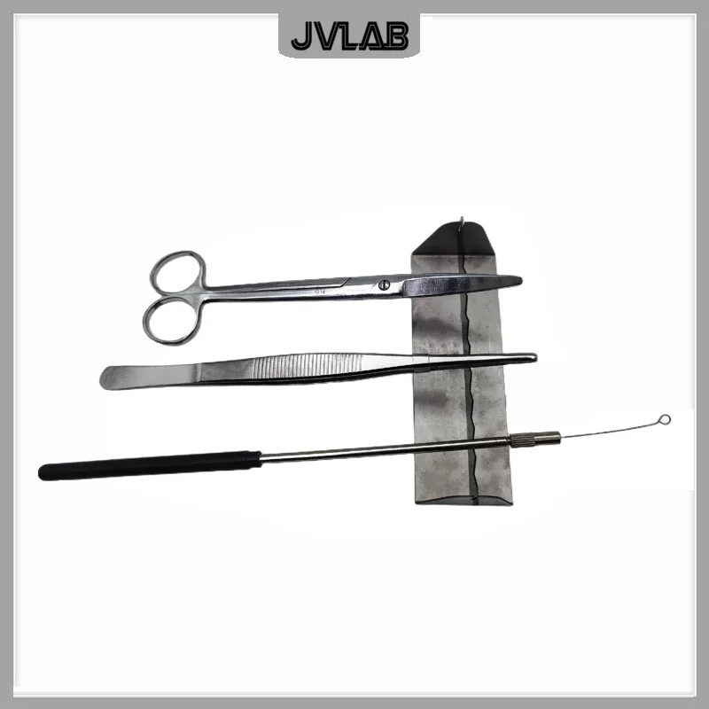 kf-Sc3dc38e1588c46f189e6daaeb6e56b0a6