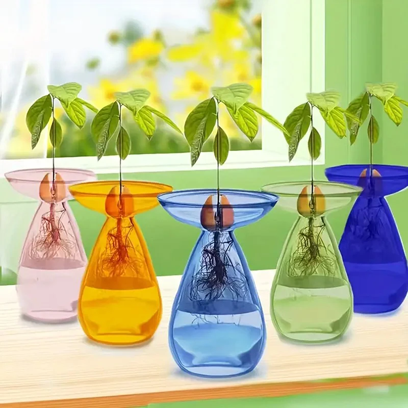 【W】Colorful Transparent Avocado Hydroponic Vase Glass Avocado Seed Starter Vase Plant Seed Growing Kit Gardening Lovers Home