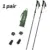 1 pair Trekking Pole