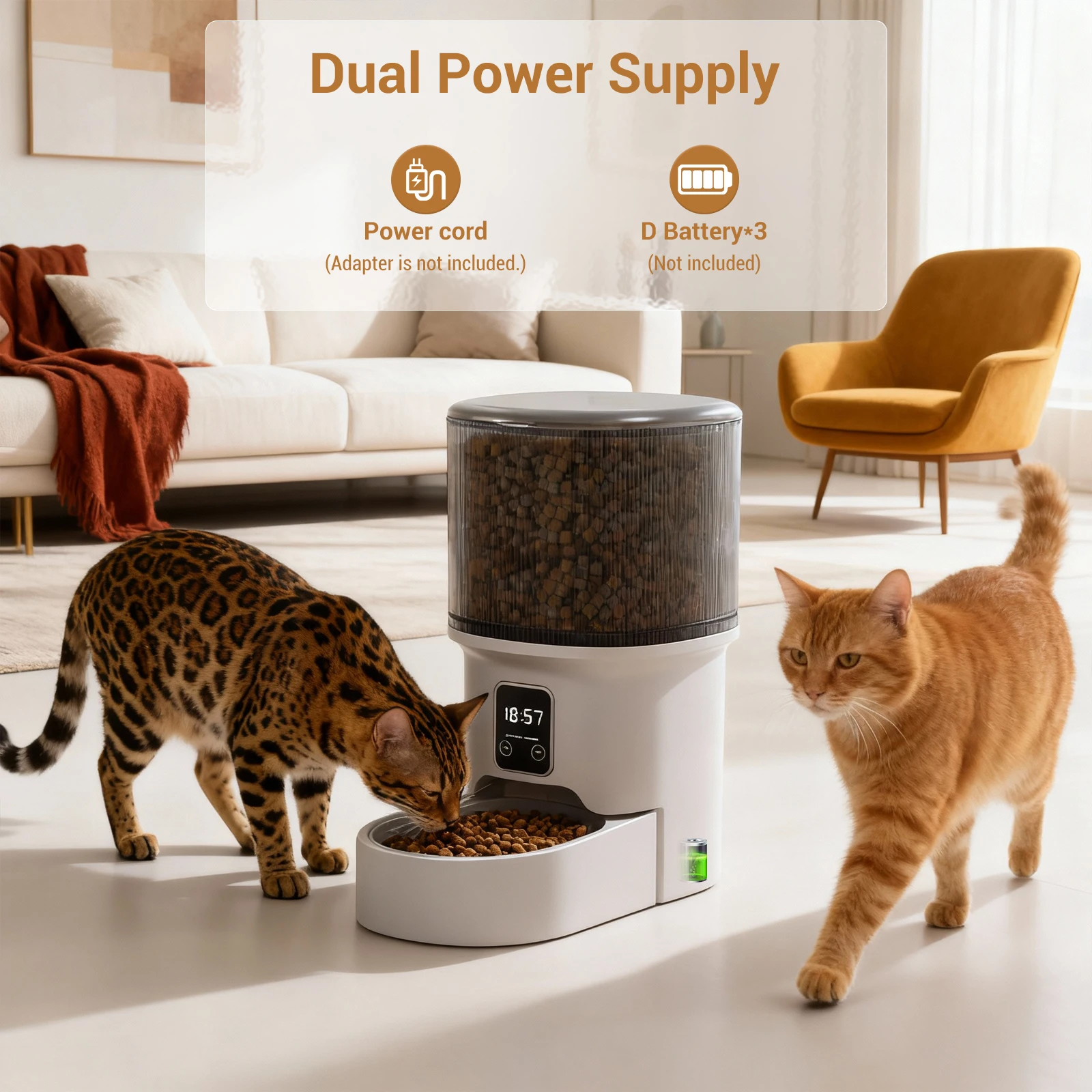 Programmable 4L Automatic Pet Feeder for Small Dogs Cats, Up to 6 Meals Daily, Timer/Portion Control, Pet Feeding Food Dispenser