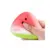 Watermelon Toy