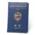 Korean passport holder/Blue