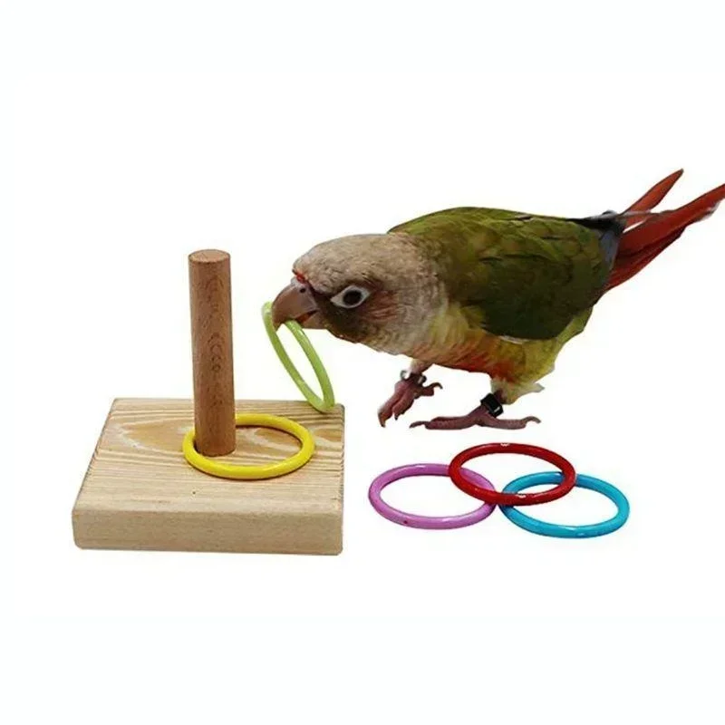 Bird Training Ring Toy Wooden Parrot Educational Toys Intelligence Training Interactive Bird Toys Bird Supplies Random Color