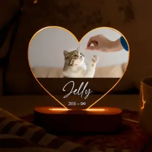 Custom Pet Photo Night Light Personalized Acrylic LED Lamp Warm Bedside Light Perfect Mothers Day Gift For Pet Mom Dog Cat Lover