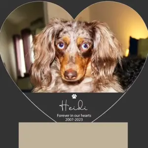 Custom Photo Pet Dog Memorial Heart Acrylic LED Light Plaque Warm Glow Tabletop Decor Bedroom Ornament Memory Keepsake Gift