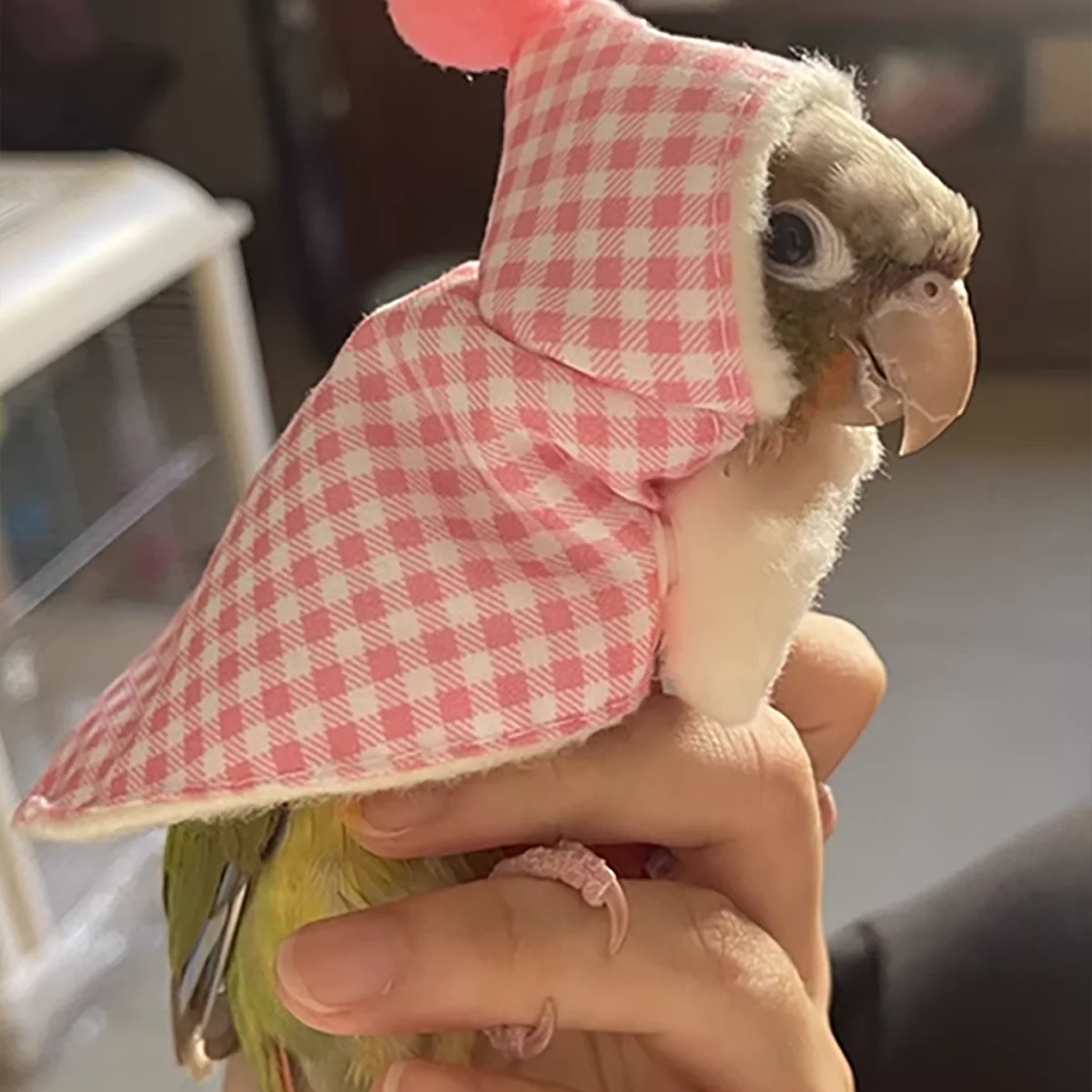 Cute bird clothes, bird cape, thick bird jacket, bird diaper, parrot dress, tiger pattern peony suspender diaper flight suit