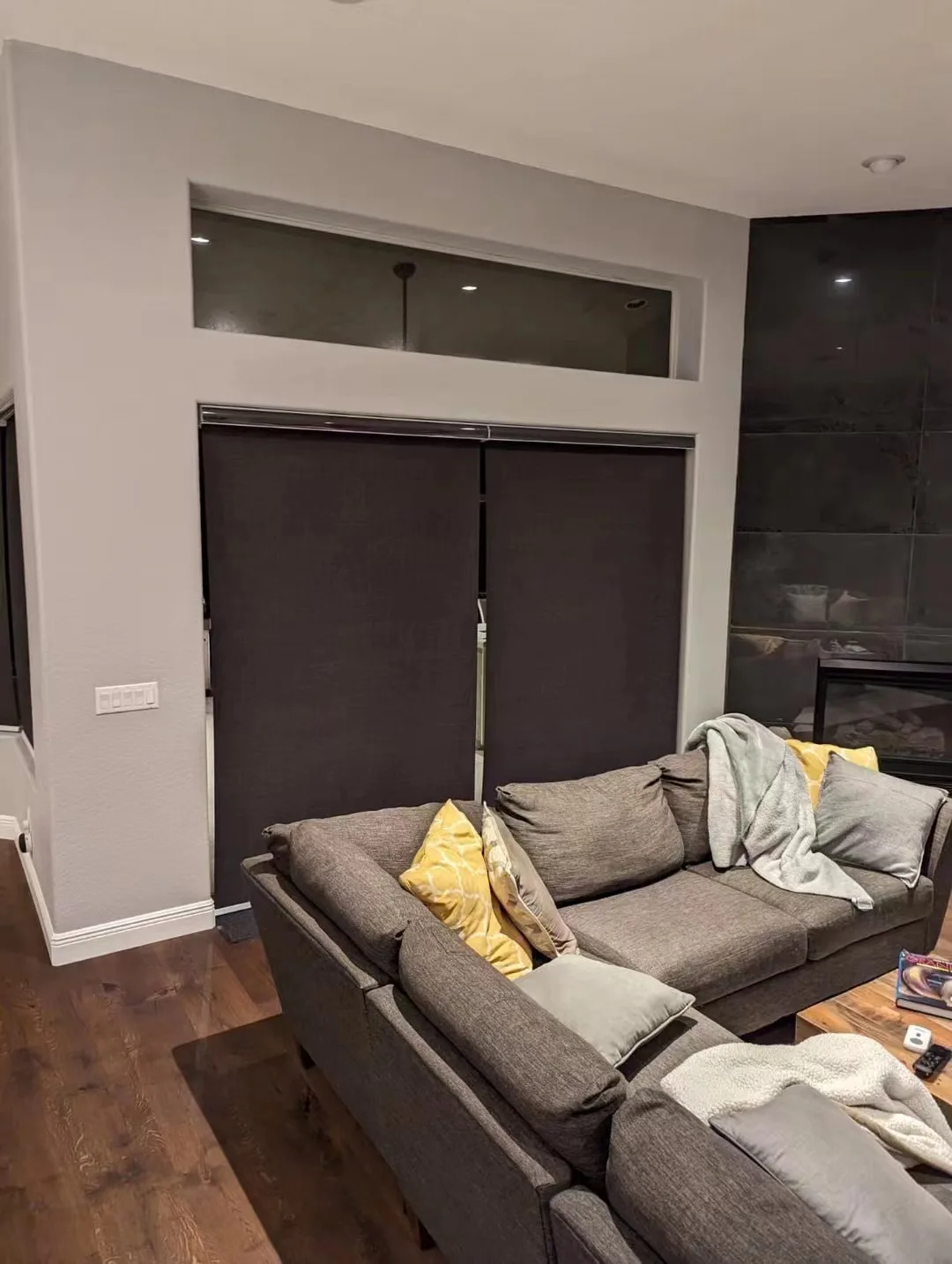 Decopedia Roller Blinds for Windows Motorized Cordless Smart Window Blinds Blackout Roller Day and Night Curtain for Living Room