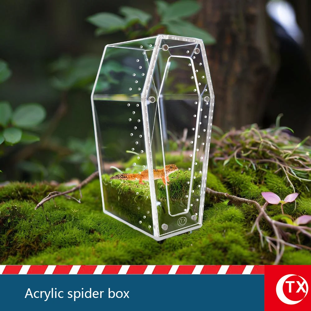 Magnetic Acrylic Spider Enclosure | Transparent Habitat Box for Jumping Spiders & Insects | Safe, Gentle & Easy-Access Design
