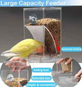 No Mess Automatic Bird Feeder Transparent Food Container Cage Parrot Feeder Accessories for Small Birds Parrot