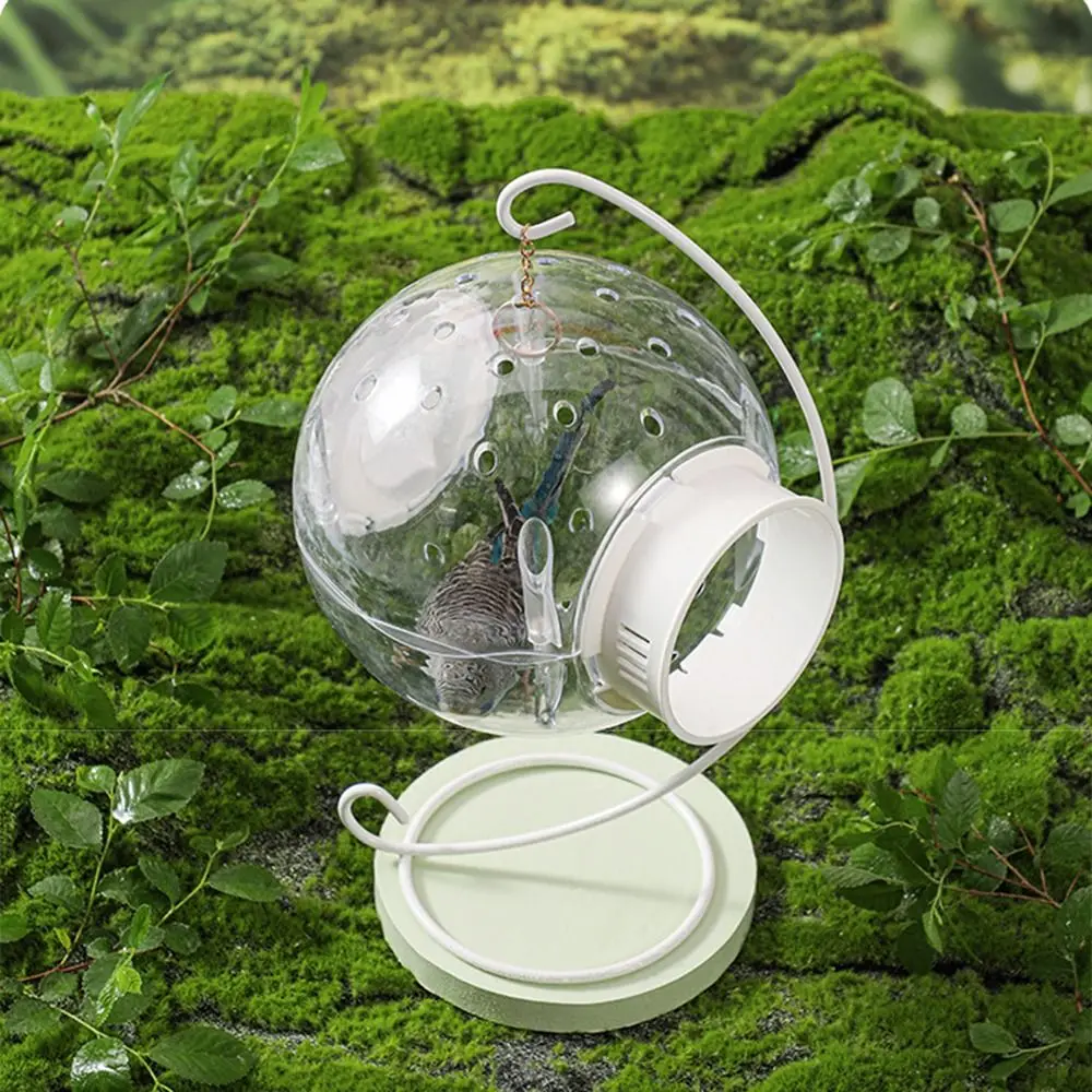 Round Clear View Bird Cage with Standing Hook Large Capacity Hang Birdcage with Metal Holder Ventilate Detachable