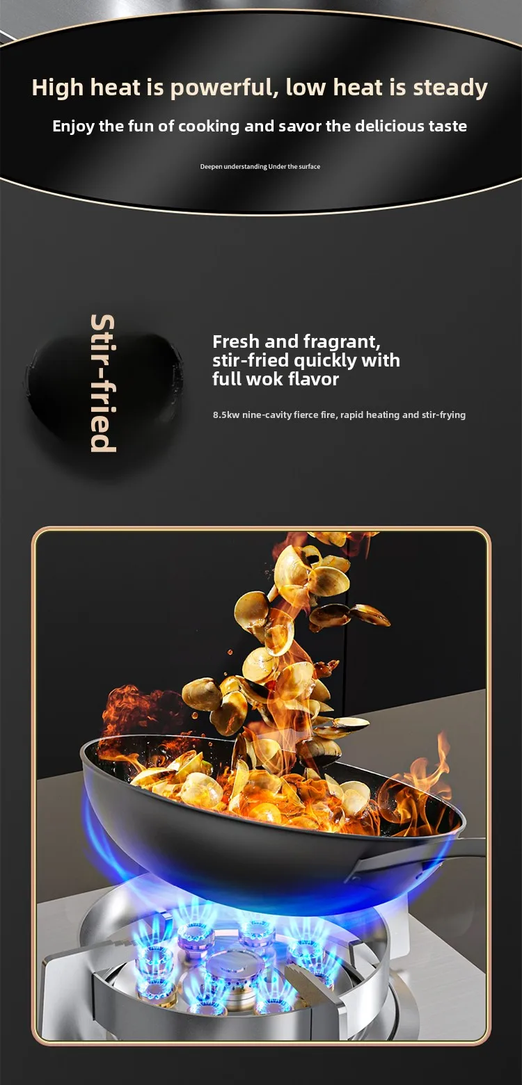 Sakura High Power Gas Stove Double Burner Natural Gas Kitchen Tabletop LPG Embedded Energy Saving